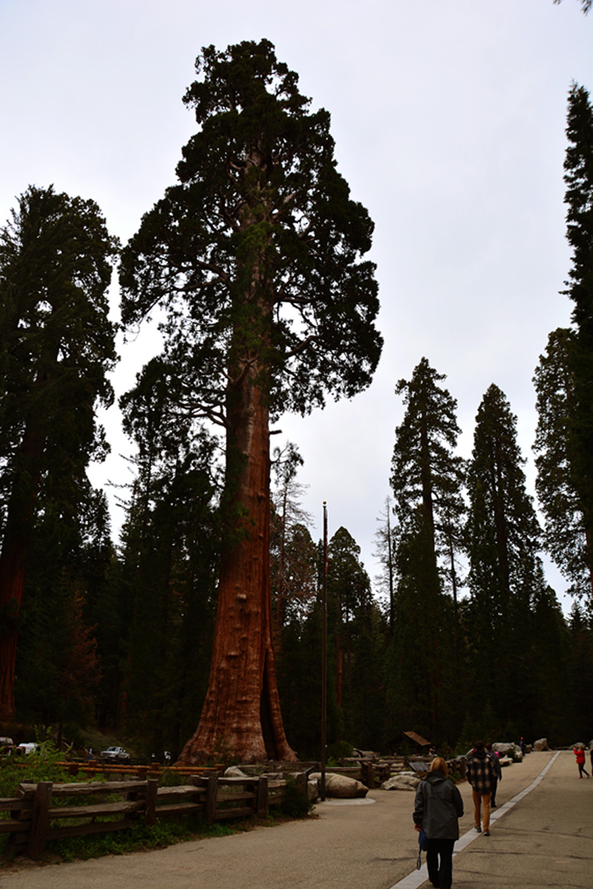 2016-05-22, 012, Sequoia National Park, CA