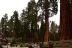 2016-05-22, 013, Sequoia National Park, CA