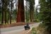 2016-05-22, 021, Sequoia National Park, CA