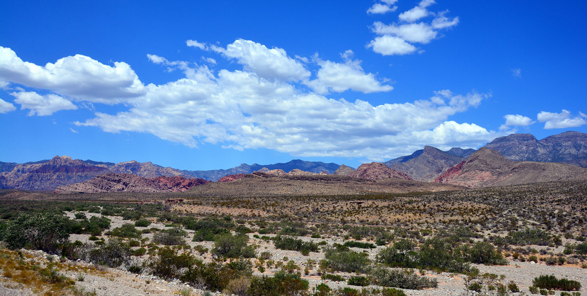 2016-05-31, 002, Red Rock Canyon NRA, NV