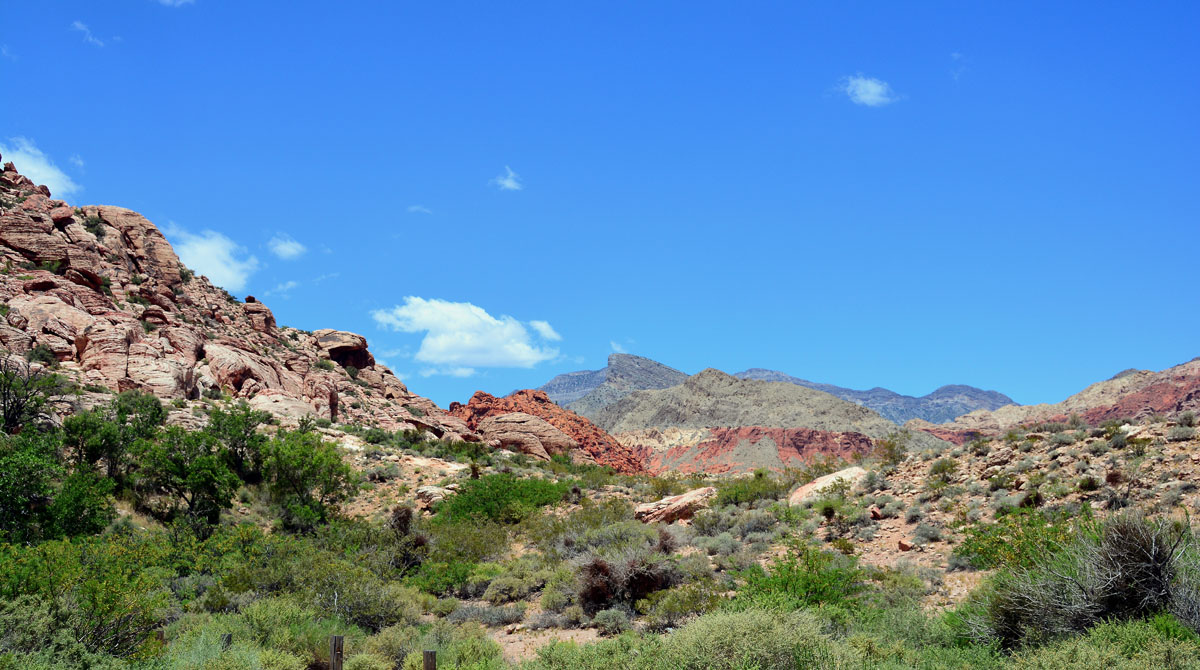 2016-05-31, 013, Red Rock Canyon NRA, NV