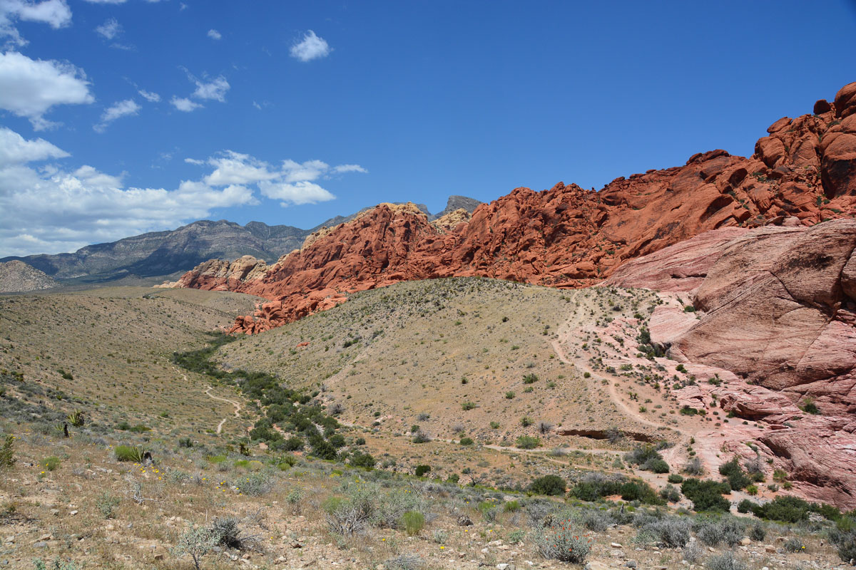 2016-05-31, 019, Red Rock Canyon NRA, NV
