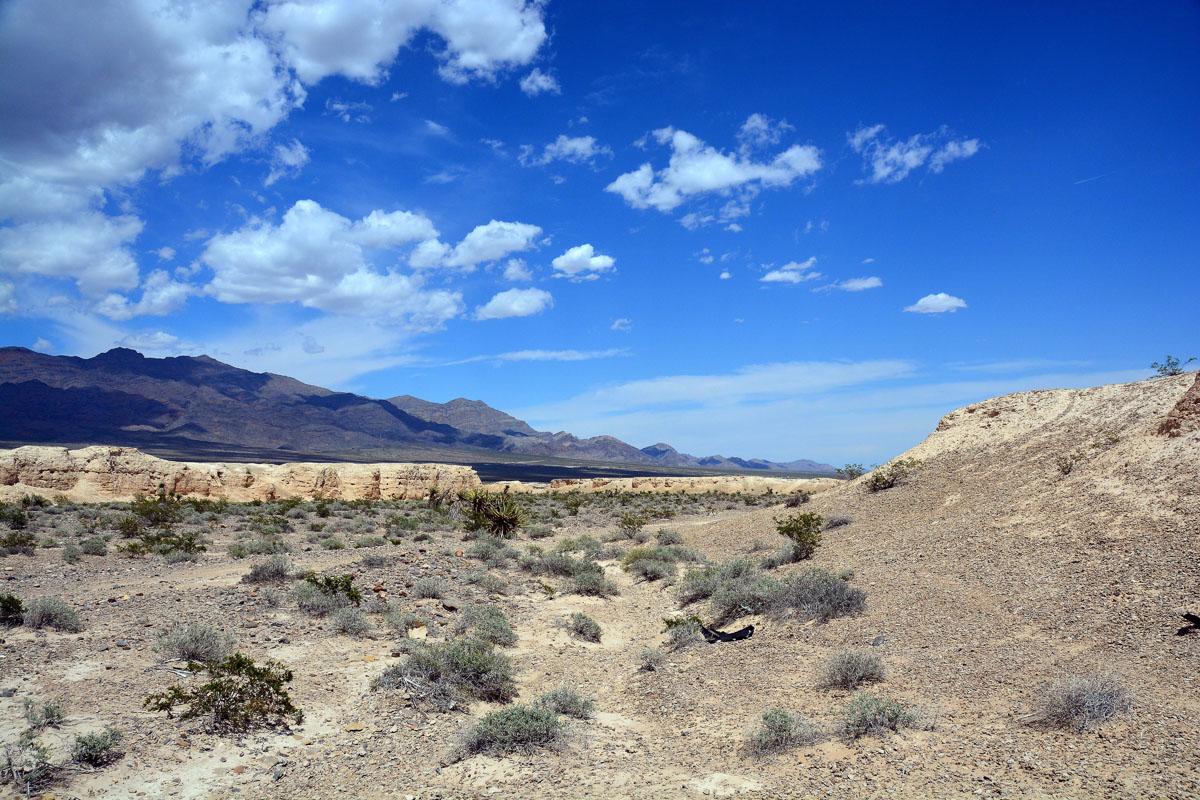 2016-05-30, 008, Tule Springs Fossil Beds NM, NV