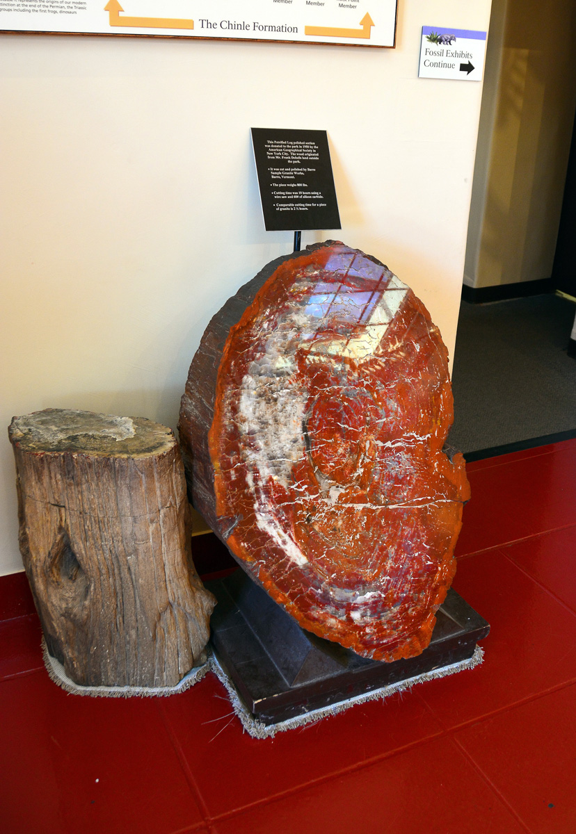 2016-06-03, 003, Petrified Forest, Visitor Center