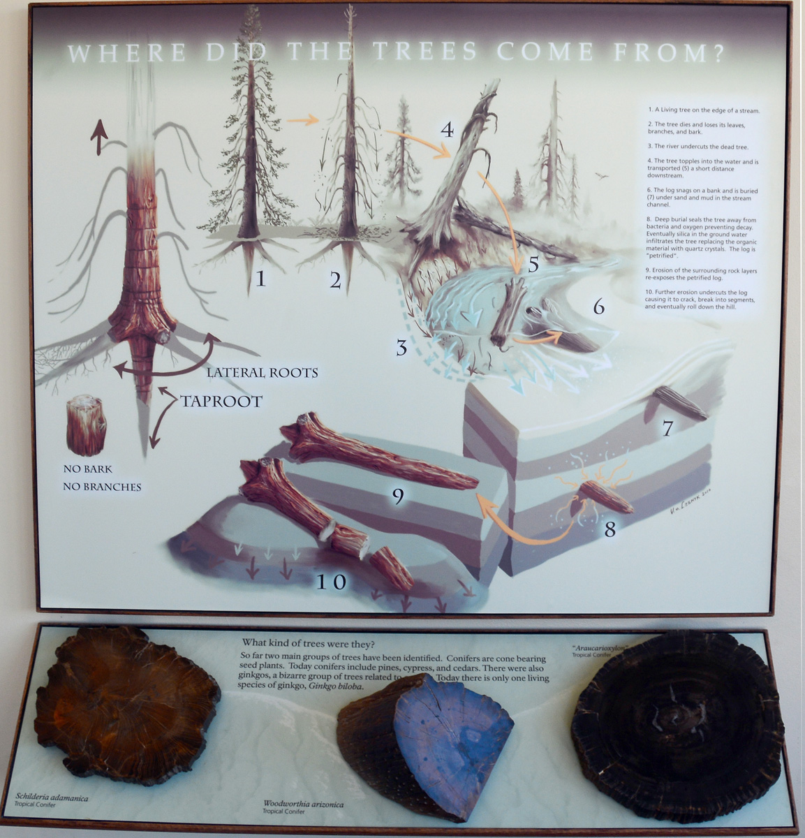 2016-06-03, 004, Petrified Forest, Visitor Center