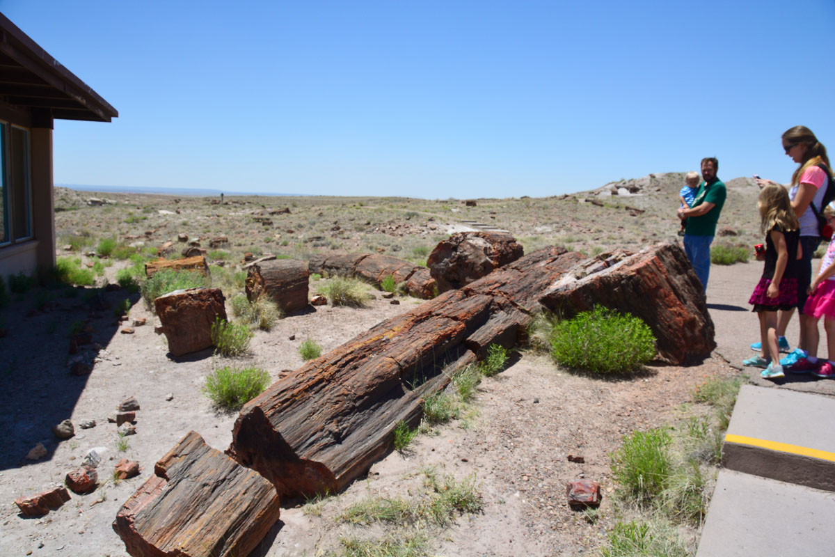 2016-06-03, 005, Petrified Forest, Visitor Area