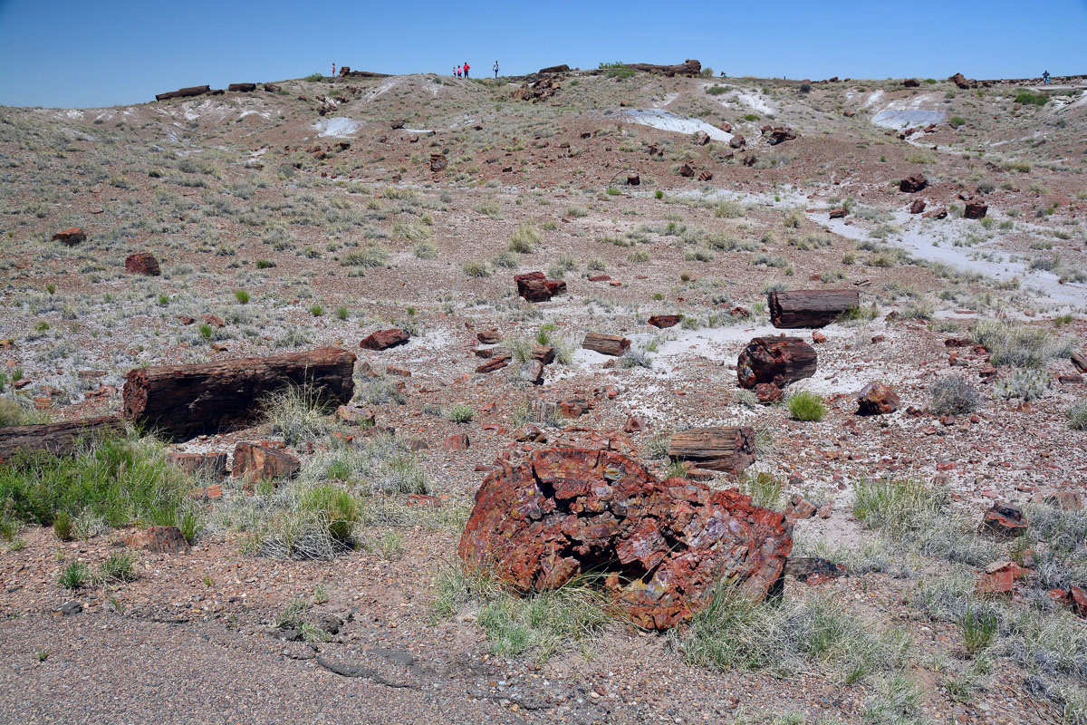 2016-06-03, 007, Petrified Forest, Visitor Area