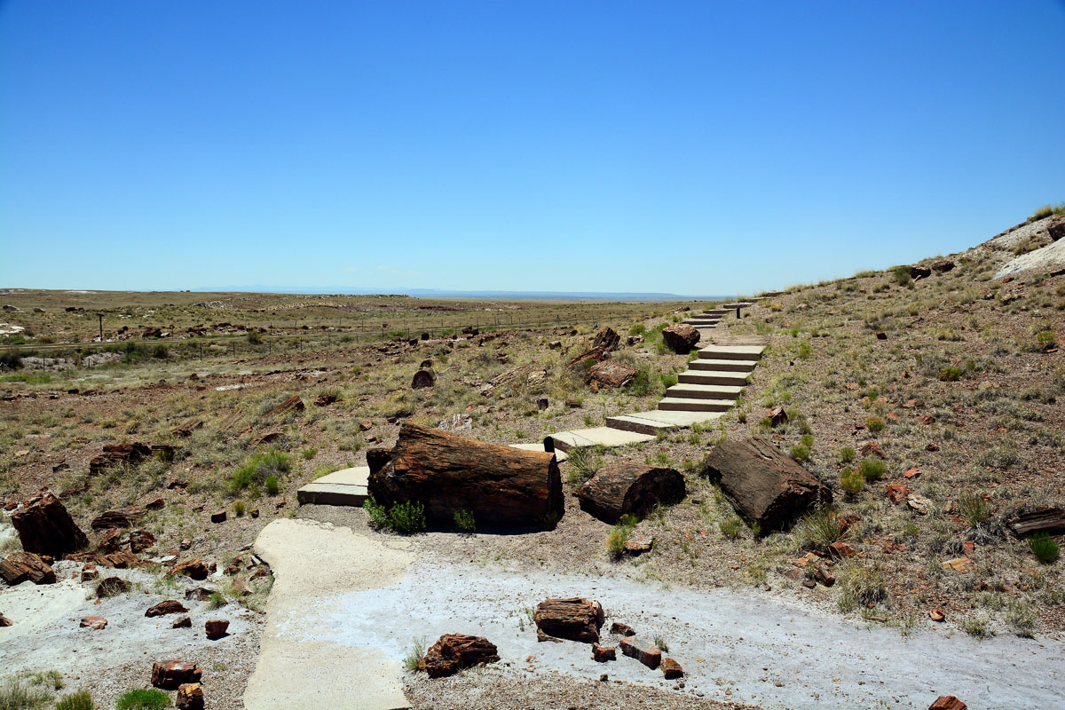 2016-06-03, 008, Petrified Forest, Visitor Area