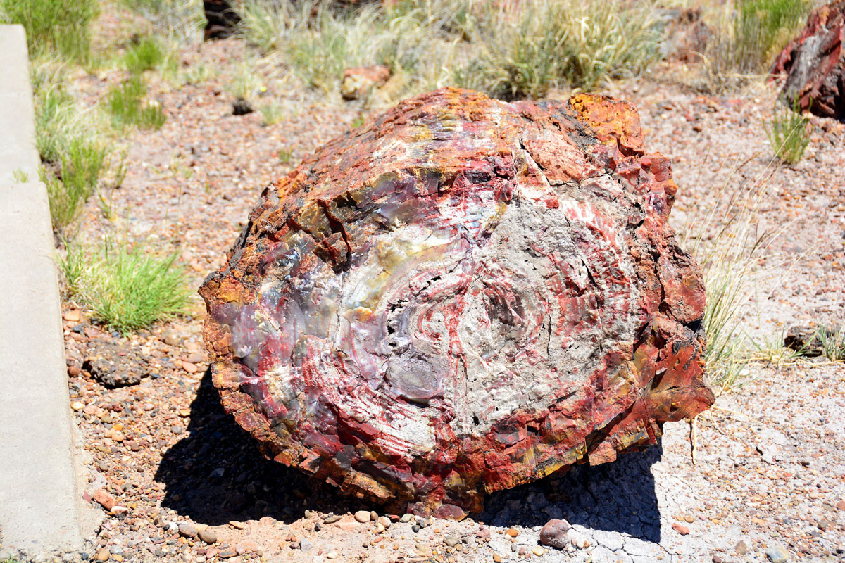 2016-06-03, 010, Petrified Forest, Visitor Area