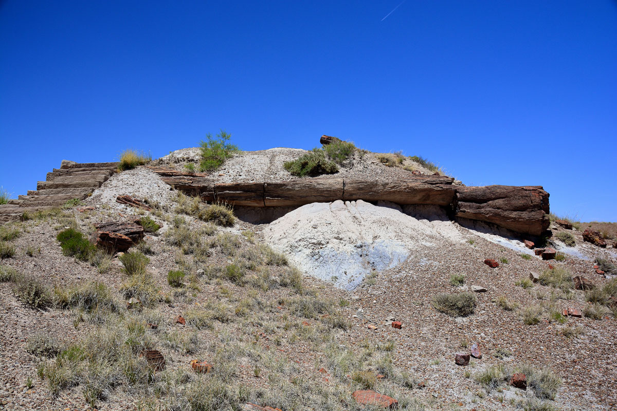 2016-06-03, 011, Petrified Forest, Visitor Area