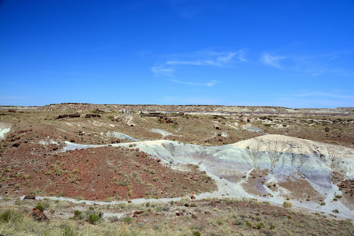 2016-06-03, 012, Petrified Forest, Visitor Area
