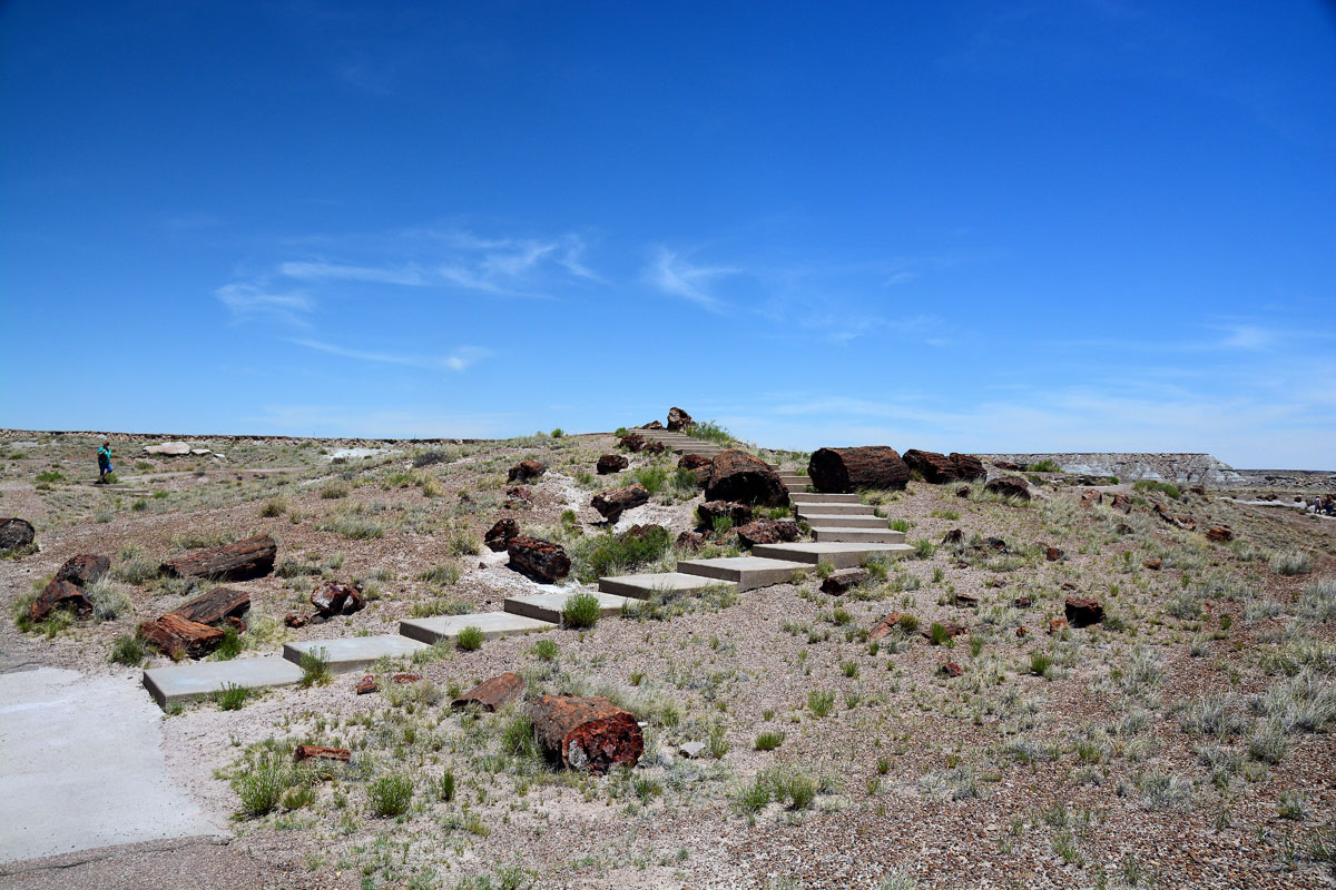 2016-06-03, 014, Petrified Forest, Visitor Area
