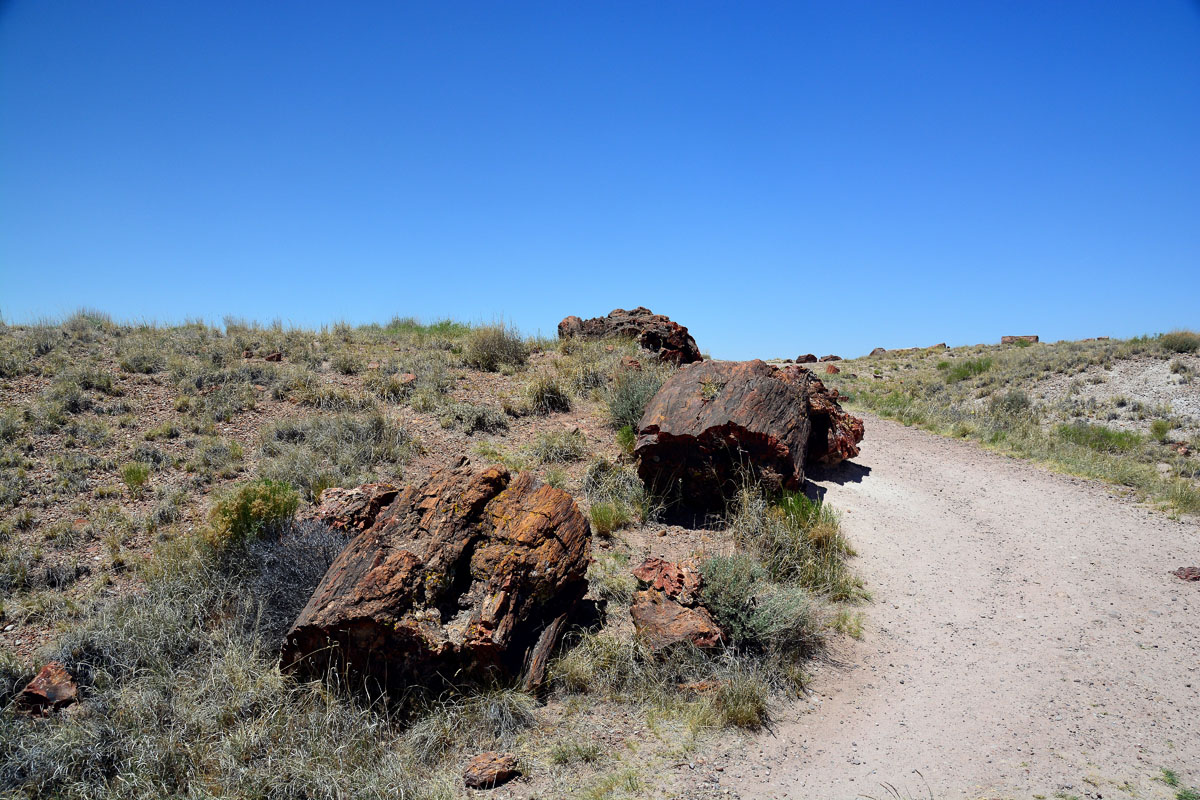 2016-06-03, 015, Petrified Forest, Visitor Area