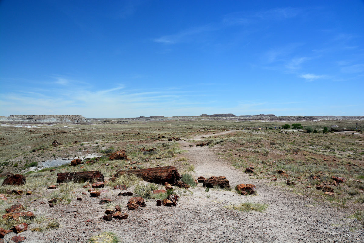 2016-06-03, 016, Petrified Forest, Visitor Area
