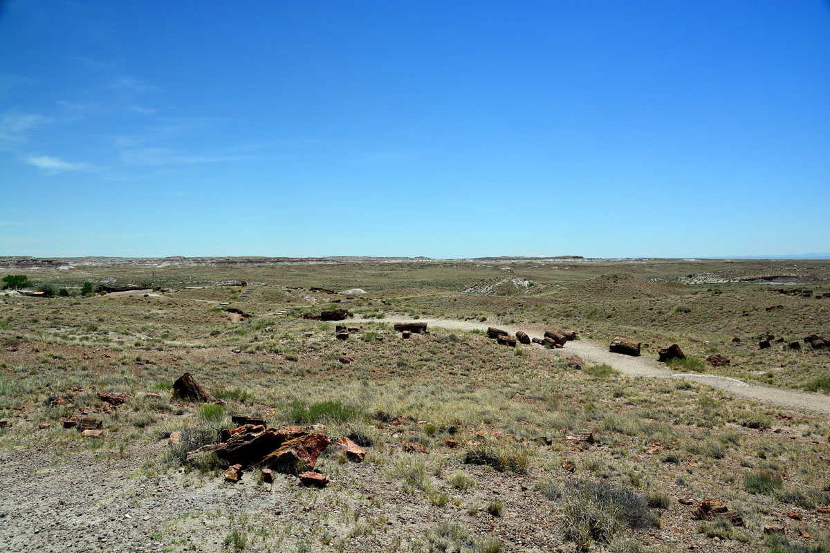 2016-06-03, 017, Petrified Forest, Visitor Area