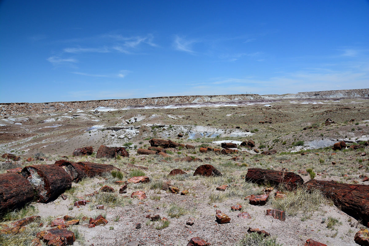 2016-06-03, 018, Petrified Forest, Visitor Area