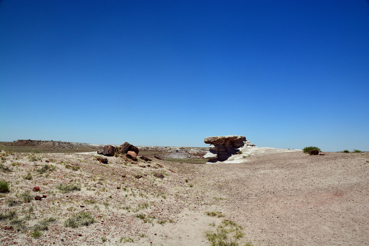 2016-06-03, 019, Petrified Forest, Visitor Area