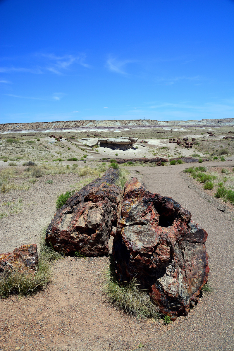 2016-06-03, 021, Petrified Forest, Visitor Area