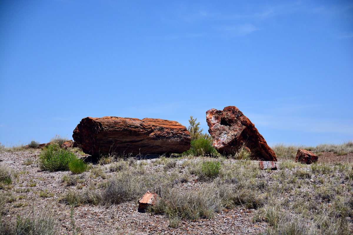 2016-06-03, 027, Petrified Forest, Visitor Area