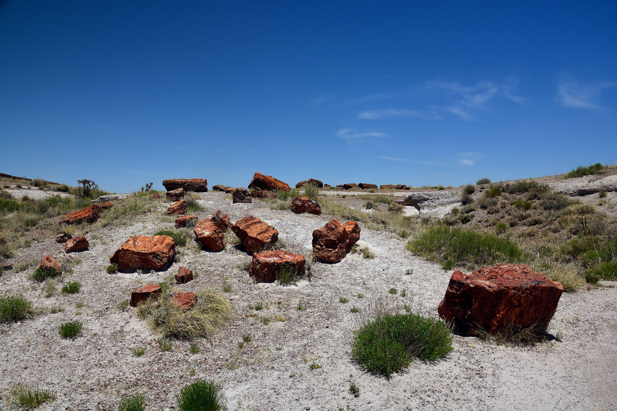 2016-06-03, 028, Petrified Forest, Visitor Area