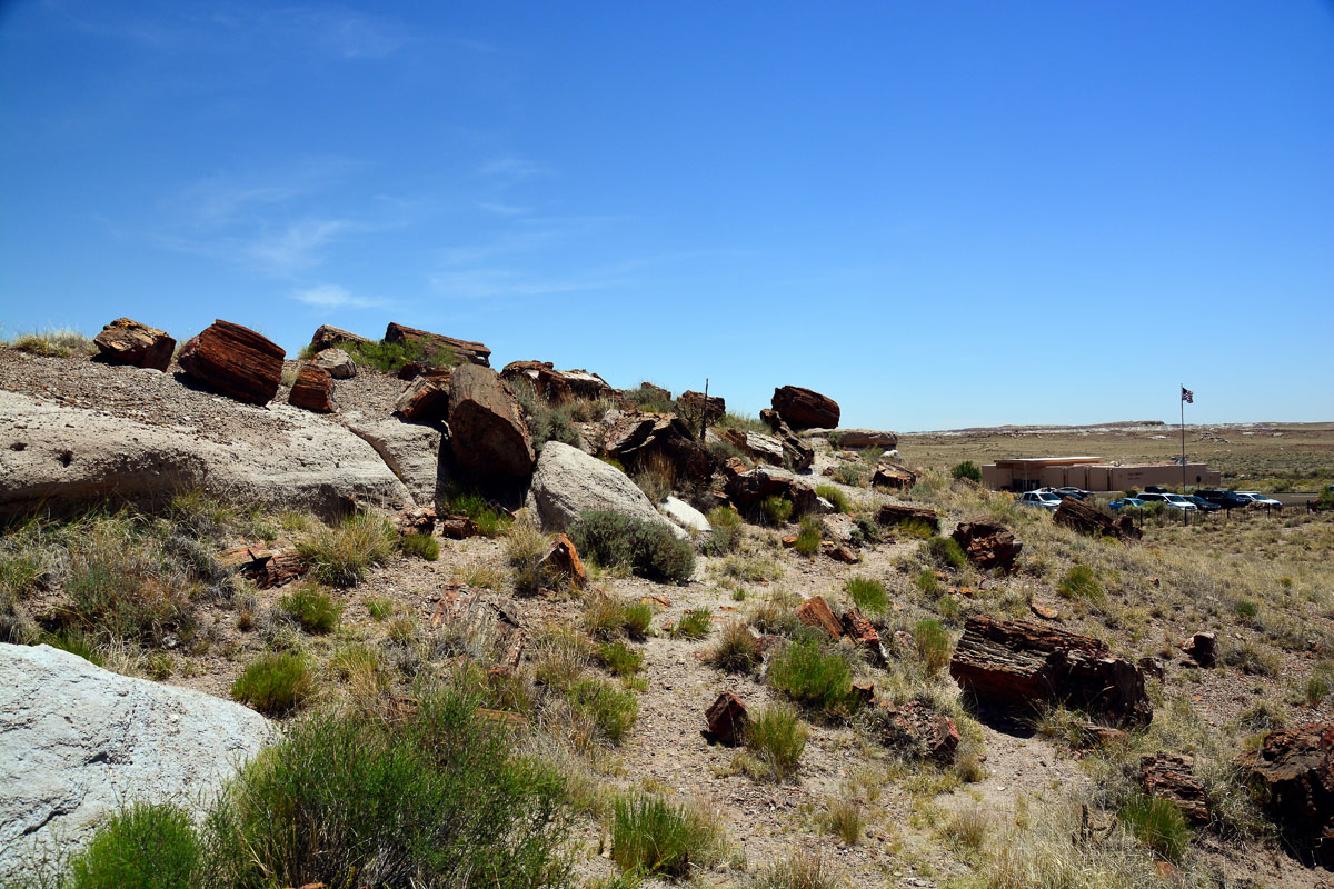 2016-06-03, 029, Petrified Forest, Visitor Area