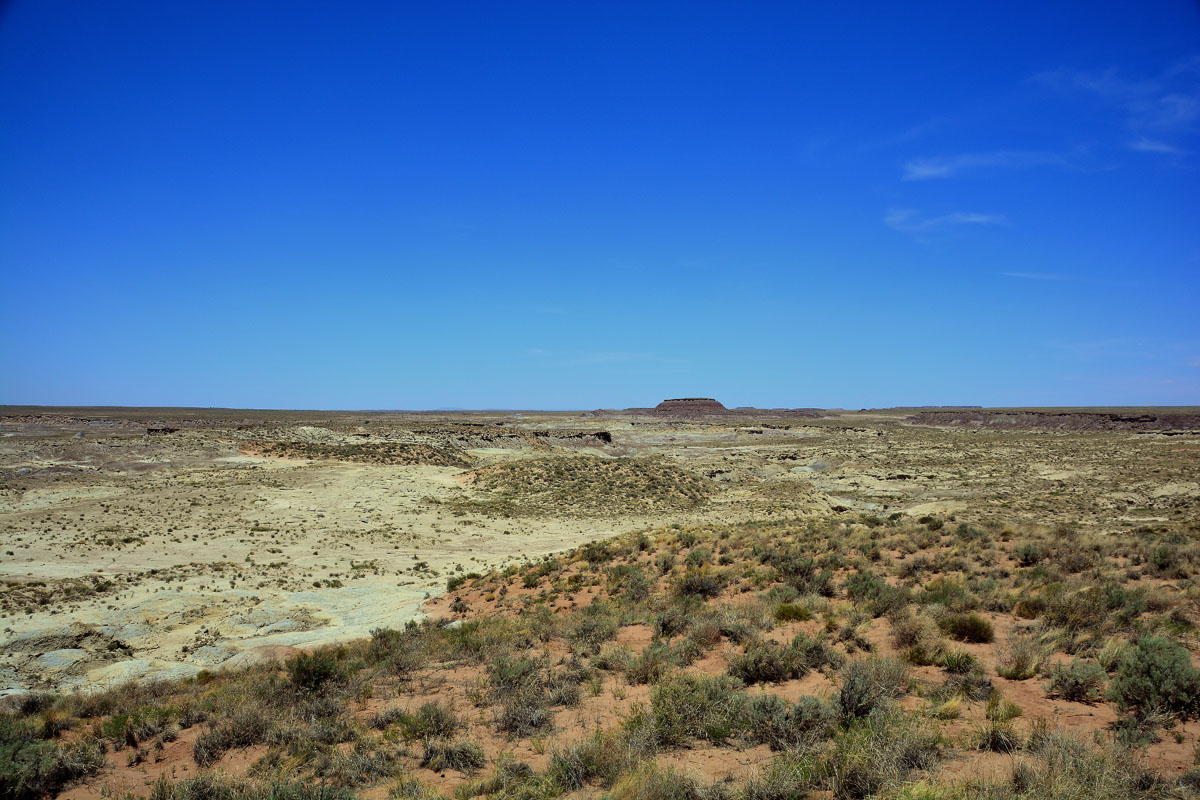 2016-06-03, 032, Petrified Forest