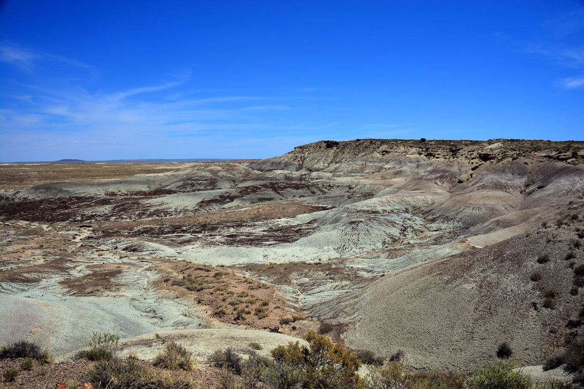 2016-06-03, 033, Petrified Forest