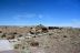 2016-06-03, 014, Petrified Forest, Visitor Area