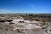 2016-06-03, 023, Petrified Forest, Visitor Area