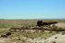 2016-06-03, 024, Petrified Forest, Visitor Area