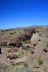 2016-06-03, 025, Petrified Forest, Visitor Area