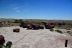 2016-06-03, 026, Petrified Forest, Visitor Area