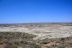 2016-06-03, 031, Petrified Forest