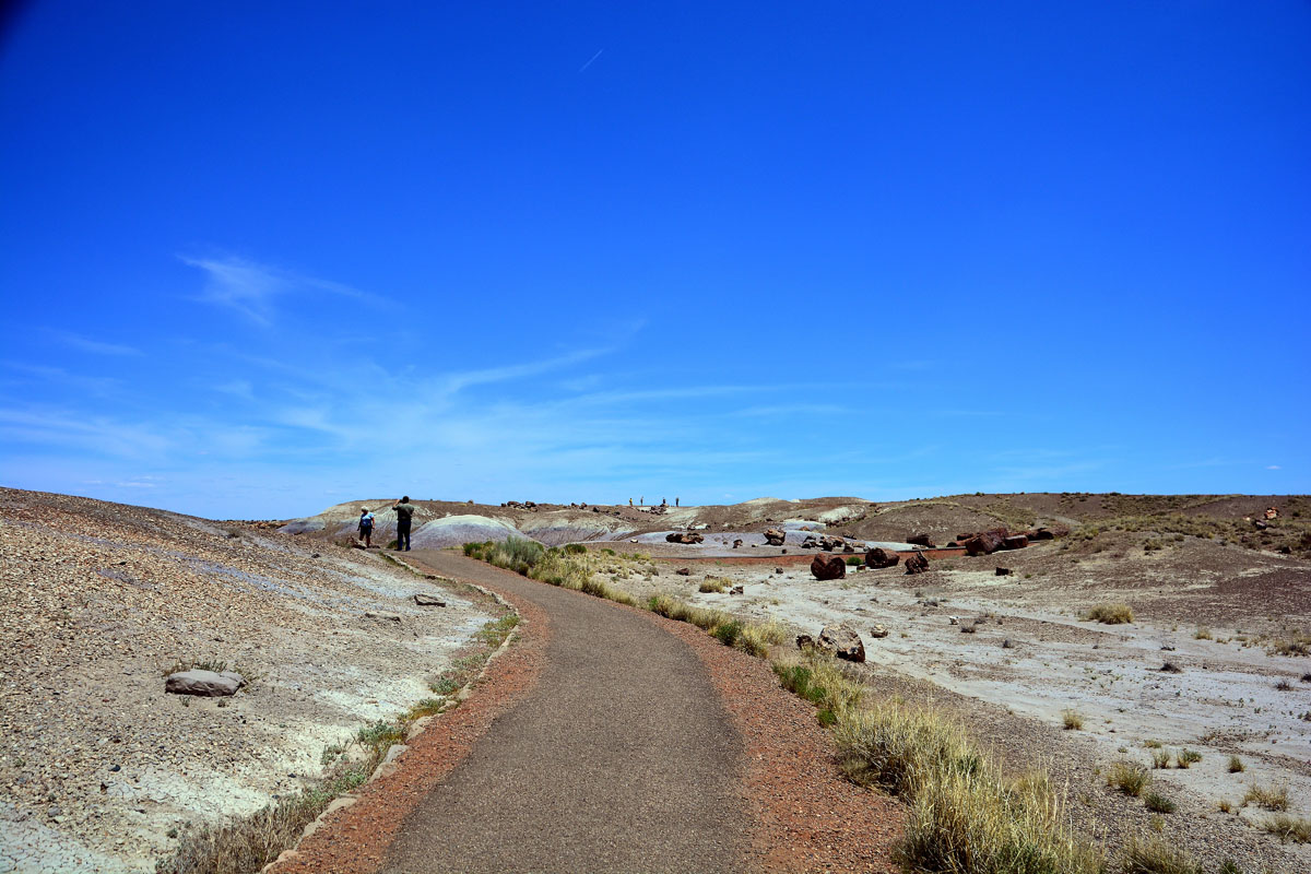 2016-06-03, 036, Petrified Forest, Crystal Forest