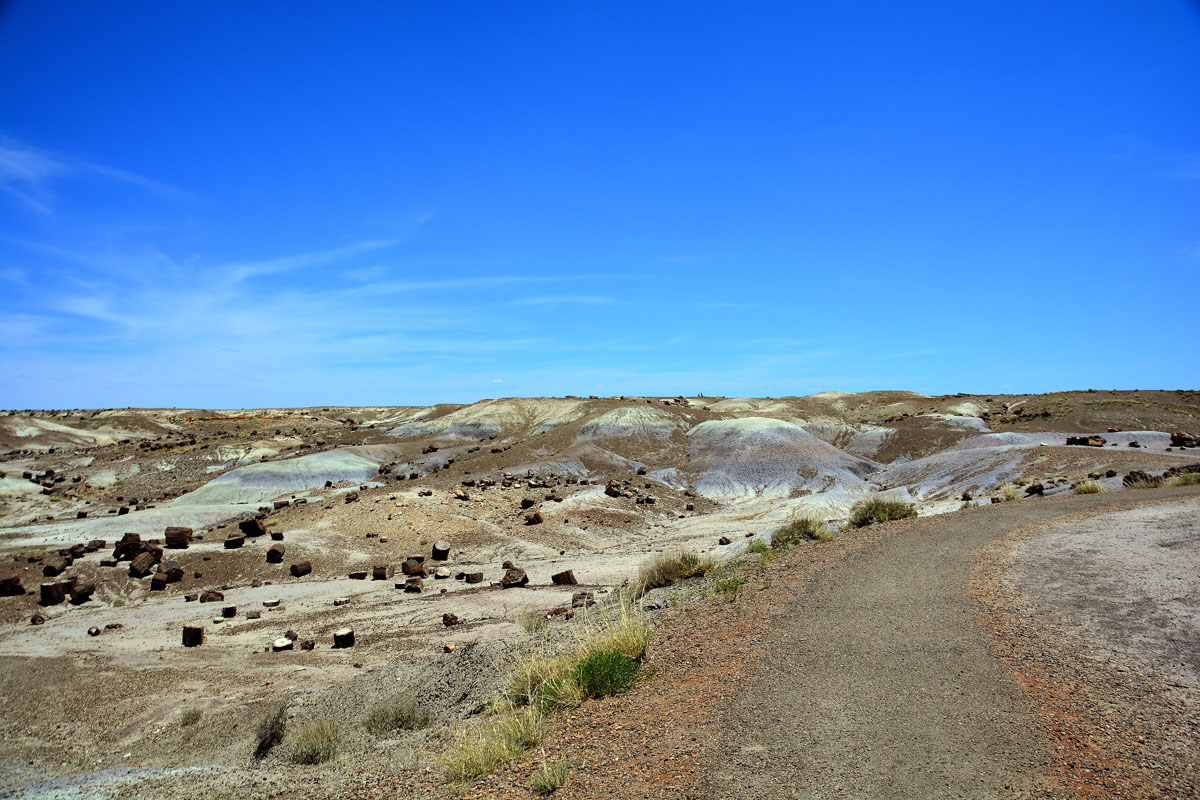 2016-06-03, 039, Petrified Forest, Crystal Forest