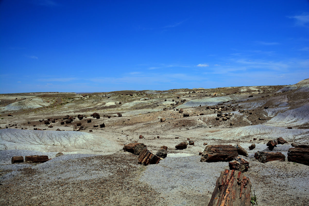 2016-06-03, 040, Petrified Forest, Crystal Forest