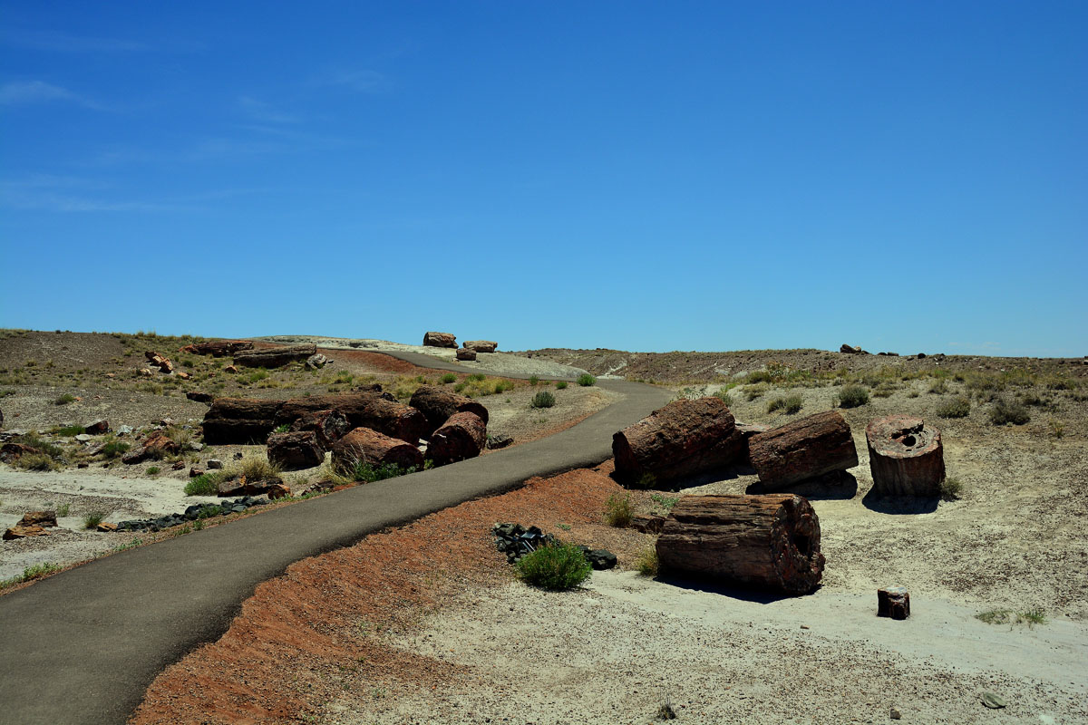 2016-06-03, 041, Petrified Forest, Crystal Forest
