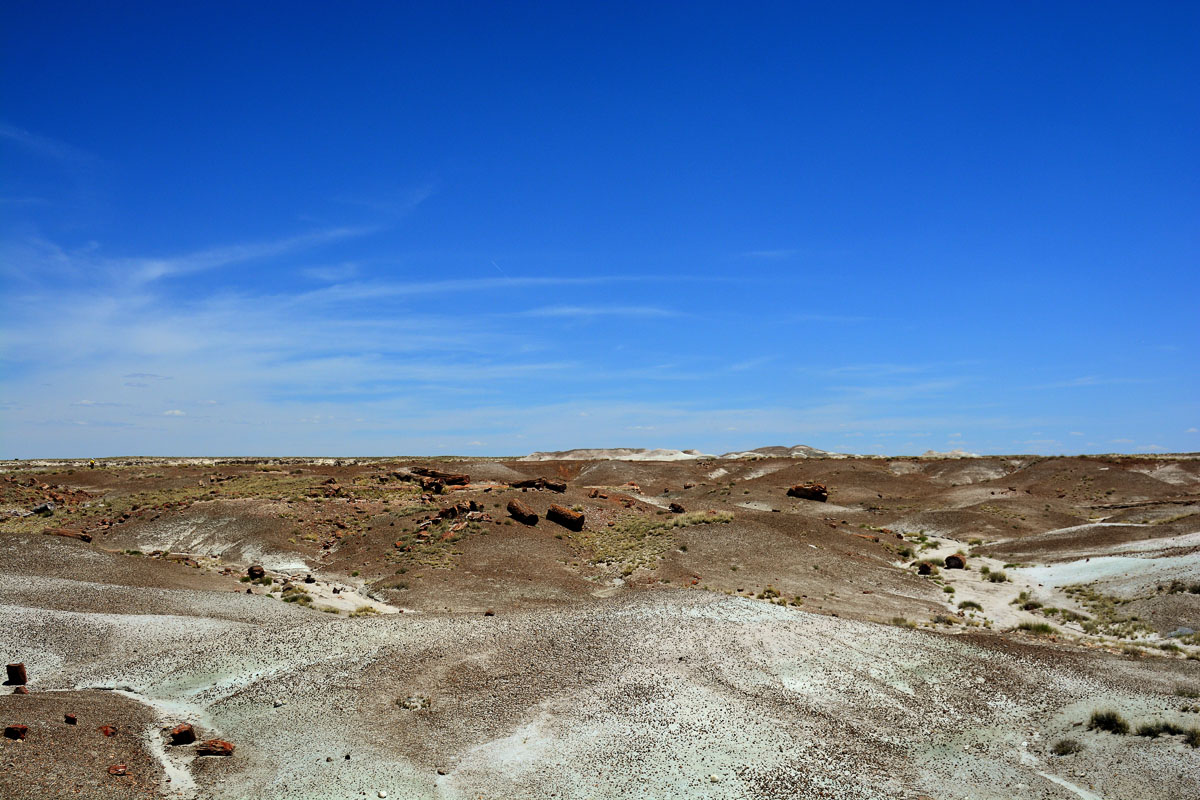2016-06-03, 043, Petrified Forest, Crystal Forest