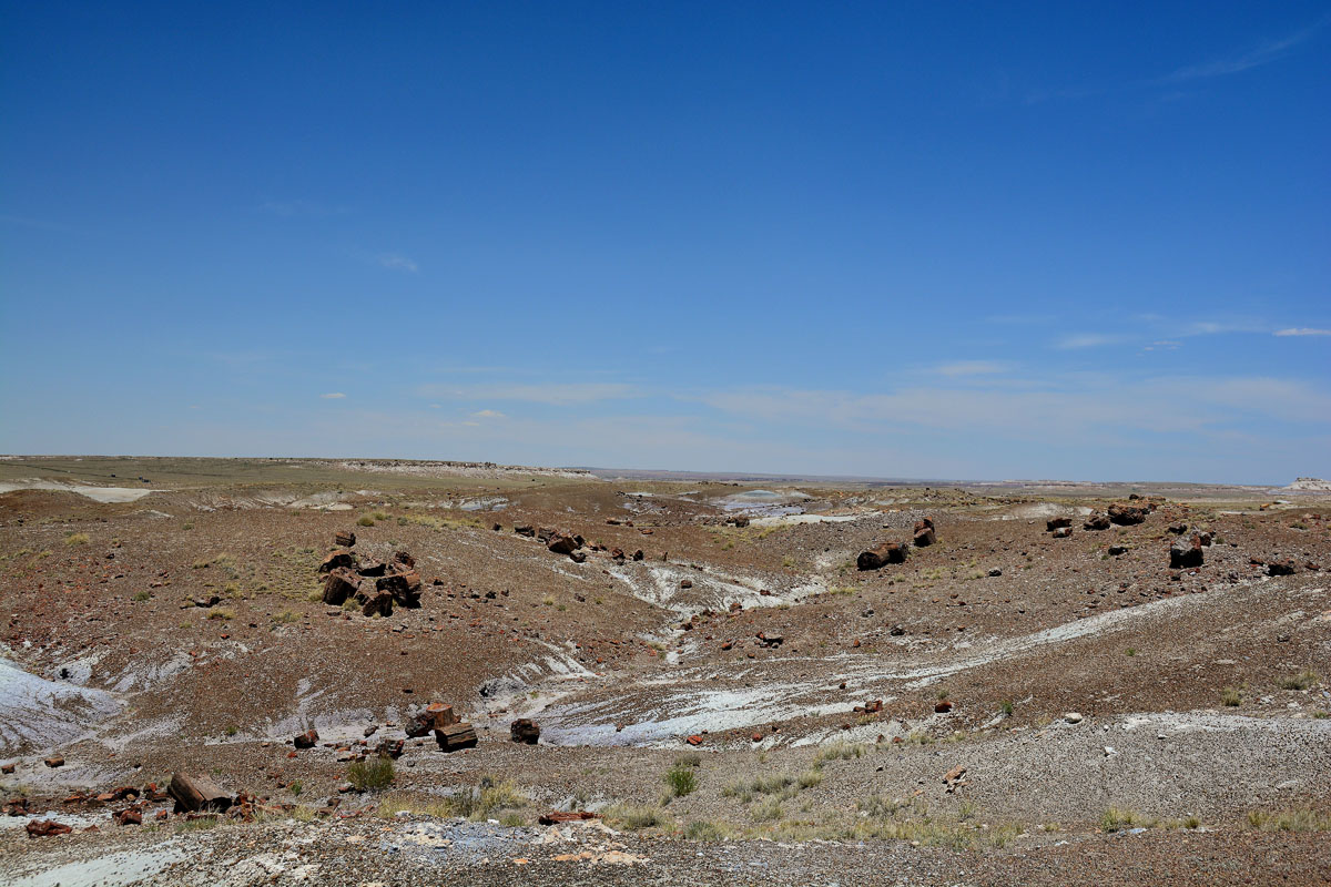 2016-06-03, 044, Petrified Forest, Crystal Forest