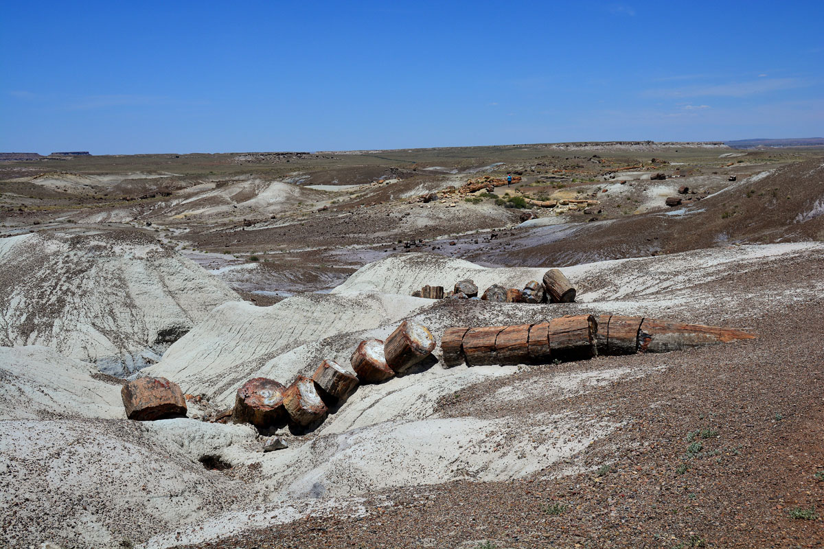 2016-06-03, 046, Petrified Forest, Crystal Forest