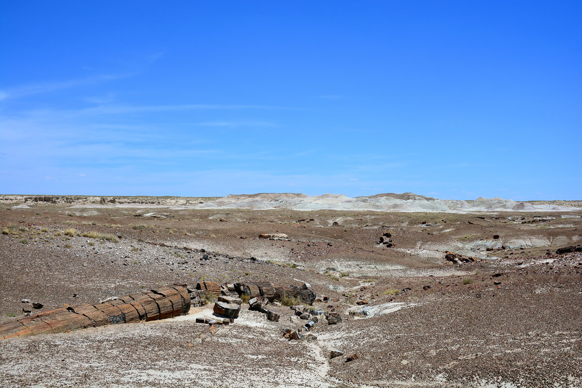 2016-06-03, 047, Petrified Forest, Crystal Forest
