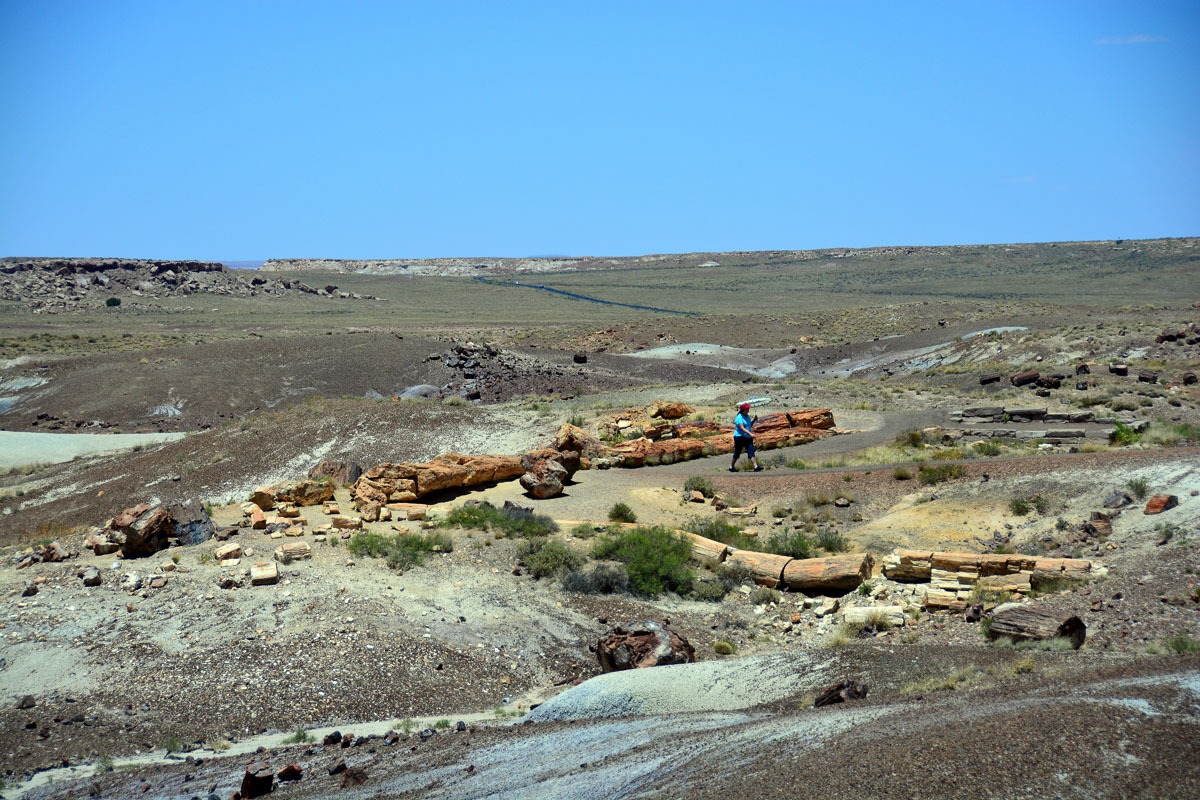 2016-06-03, 048, Petrified Forest, Crystal Forest