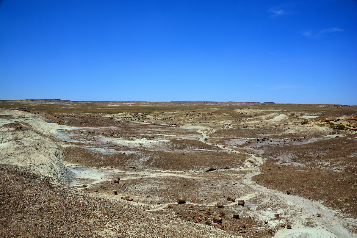 2016-06-03, 049, Petrified Forest, Crystal Forest