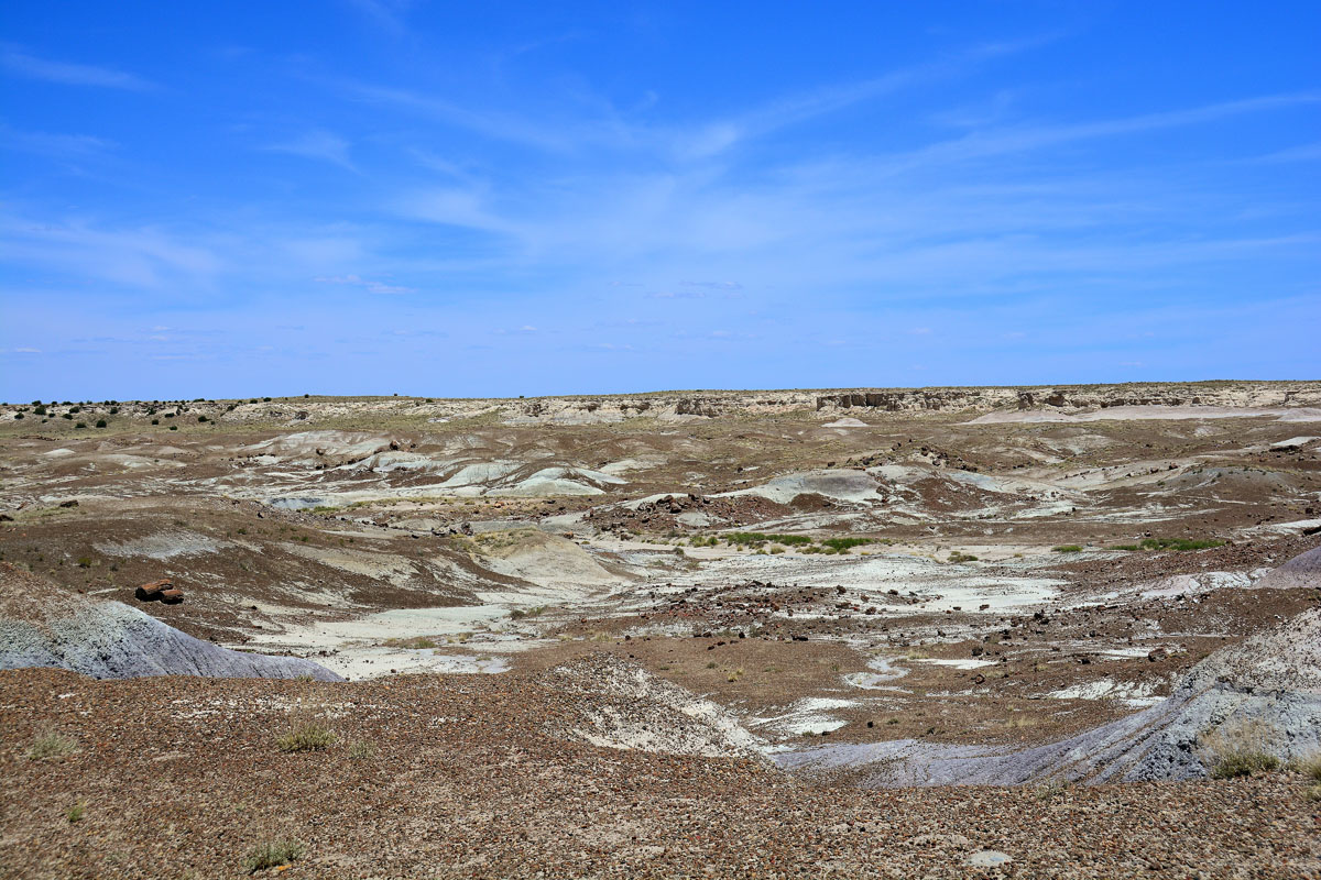 2016-06-03, 051, Petrified Forest, Crystal Forest