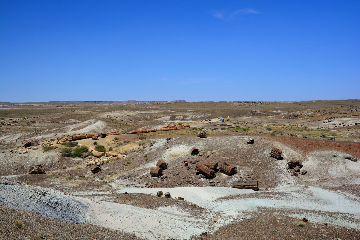 2016-06-03, 052, Petrified Forest, Crystal Forest