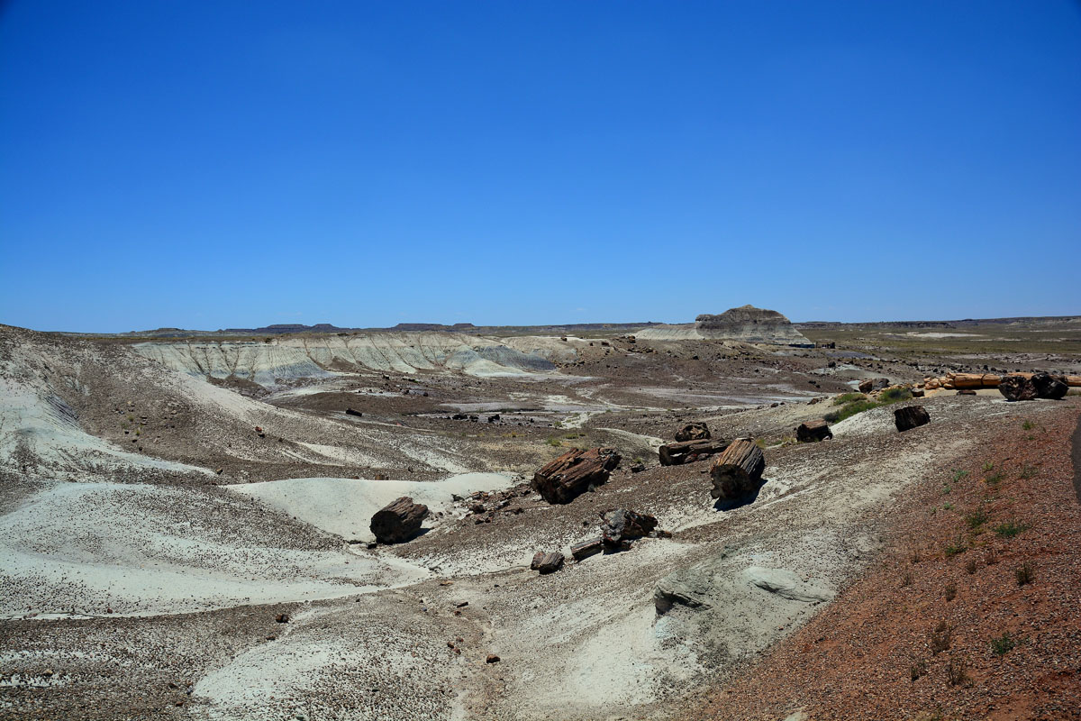 2016-06-03, 053, Petrified Forest, Crystal Forest