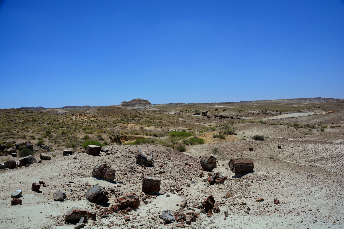 2016-06-03, 055, Petrified Forest, Crystal Forest