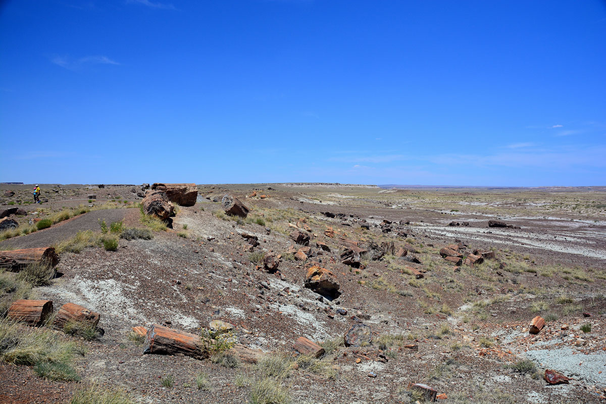 2016-06-03, 056, Petrified Forest, Crystal Forest