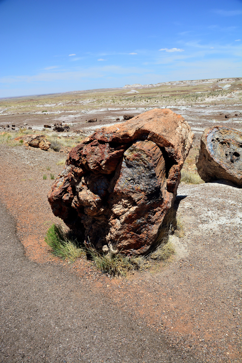 2016-06-03, 057, Petrified Forest, Crystal Forest