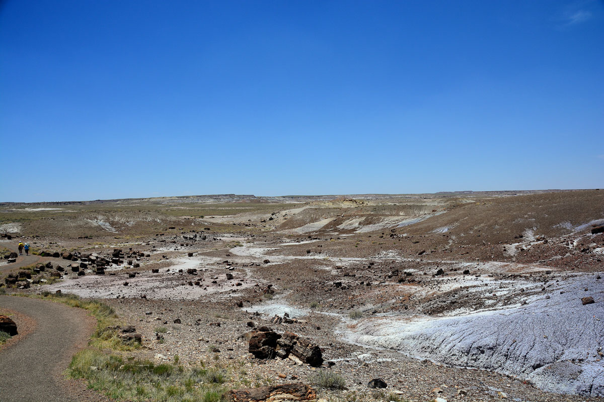 2016-06-03, 058, Petrified Forest, Crystal Forest